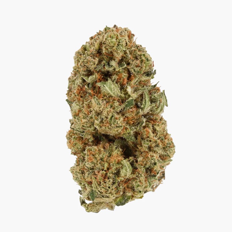 SPACE MONKEY - MOLECULES D10GREENHOUSE