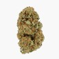 SPACE MONKEY - MOLECULES D10GREENHOUSE