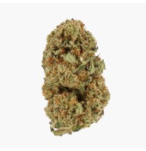 SPACE MONKEY - MOLECULES D10GREENHOUSE