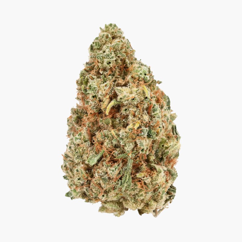 SOUL ASSASIN - MOLECULES D10GREENHOUSE