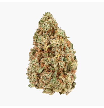 SOUL ASSASIN - MOLECULES D10GREENHOUSE
