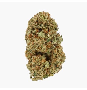 CHUPACABRA - MOLECULES MS GREENHOUSE