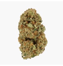 CHUPACABRA - MOLECULES MS GREENHOUSE
