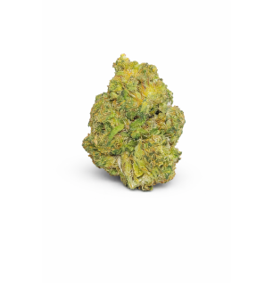 BANANA SMASH - MOLECULES BZ GREENHOUSE