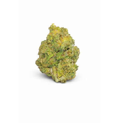 BANANA SMASH - MOLECULES BZ GREENHOUSE