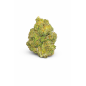 BANANA SMASH - MOLECULES BZ GREENHOUSE BANANA SMASH - MOLECULES BZ GREENHOUSE