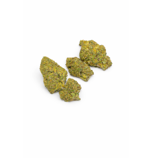 BANANA SMASH - MOLECULES BZ GREENHOUSE
