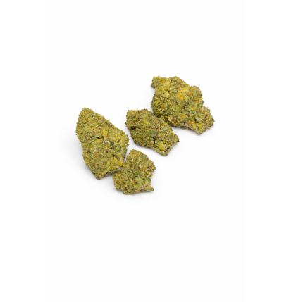 BANANA SMASH - MOLECULES BZ GREENHOUSE