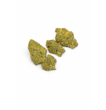 BANANA SMASH - MOLECULES BZ GREENHOUSE