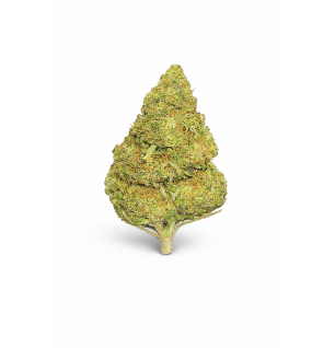 FRUIT CAKE - MOLECULES BZ GREENHOUSE
