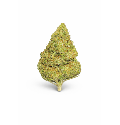 FRUIT CAKE - MOLECULES BZ GREENHOUSE