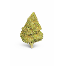 FRUIT CAKE - MOLECULES BZ GREENHOUSE