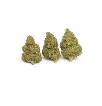 FRUIT CAKE - MOLECULES BZ GREENHOUSE
