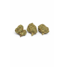 GORILLA GLUE - MOLECULES BZ GREENHOUSE
