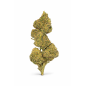 MANGO HAZE - MOLECULES BZ GREENHOUSE MANGO HAZE - MOLECULES BZ GREENHOUSE