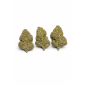 MANGO HAZE - MOLECULES BZ GREENHOUSE MANGO HAZE - MOLECULES BZ GREENHOUSE