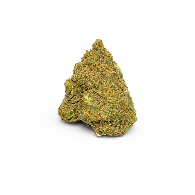 ORANGE BUD - MOLECULES BZ GREENHOUSE ORANGE BUD - MOLECULES BZ GREENHOUSE