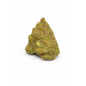 ORANGE BUD - MOLECULES BZ GREENHOUSE ORANGE BUD - MOLECULES BZ GREENHOUSE