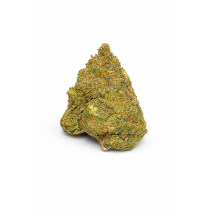 ORANGE BUD - MOLECULES BZ GREENHOUSE
