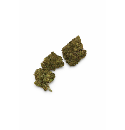 ORANGE BUD - MOLECULES BZ GREENHOUSE
