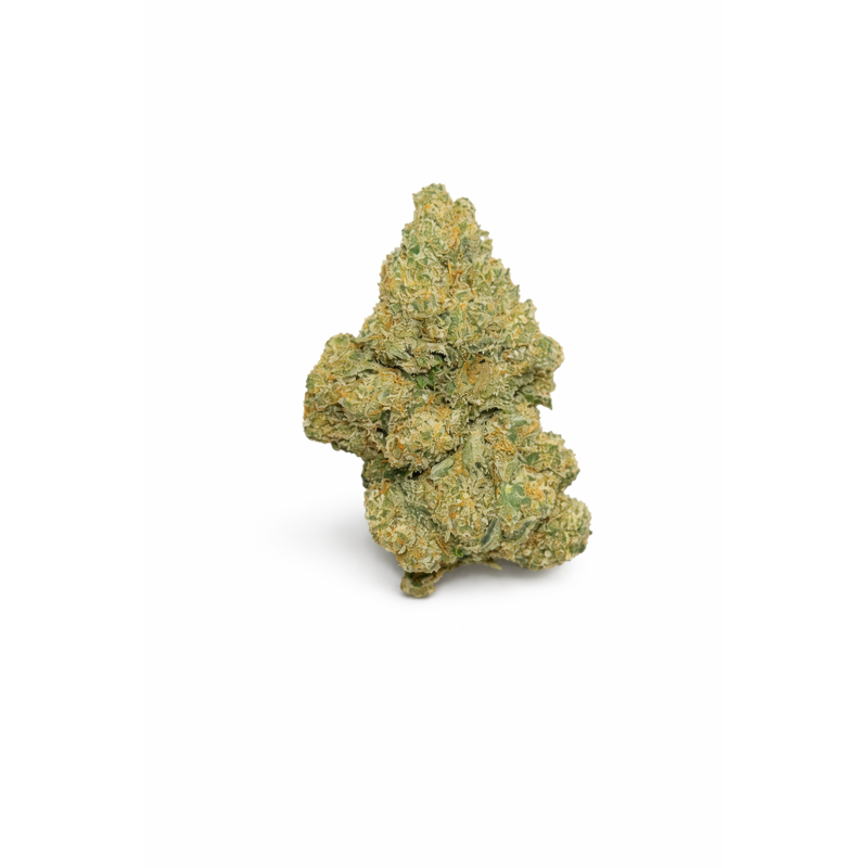 AMNESIA HAZE - MOLECULES BZ HYDROPONIE