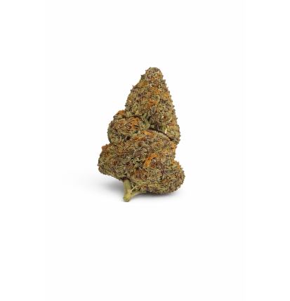 GRAPE' N CREAM - MOLECULES BZ HYDROPONIE