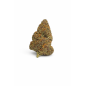 GRAPE' N CREAM - MOLECULES BZ HYDROPONIE