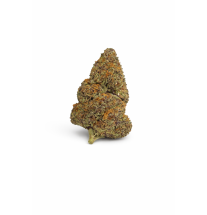 GRAPE' N CREAM - MOLECULES BZ HYDROPONIE