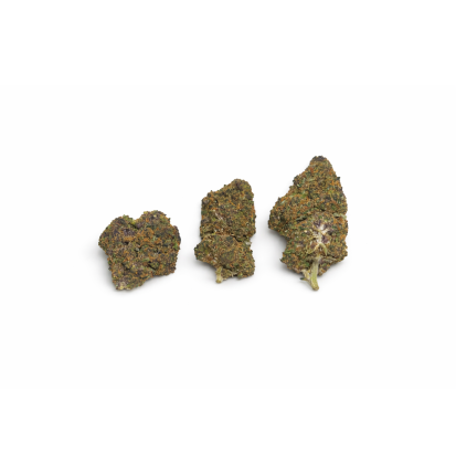 GRAPE' N CREAM - MOLECULES BZ HYDROPONIE
