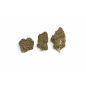 GRAPE' N CREAM - MOLECULES BZ HYDROPONIE