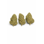 MIMOSA - MOLECULES BZ HYDROPONIE