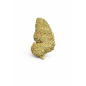 PURPLE PUNCH - MOLECULES BZ HYDROPONIE