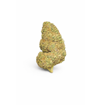 PURPLE PUNCH - MOLECULES BZ HYDROPONIE