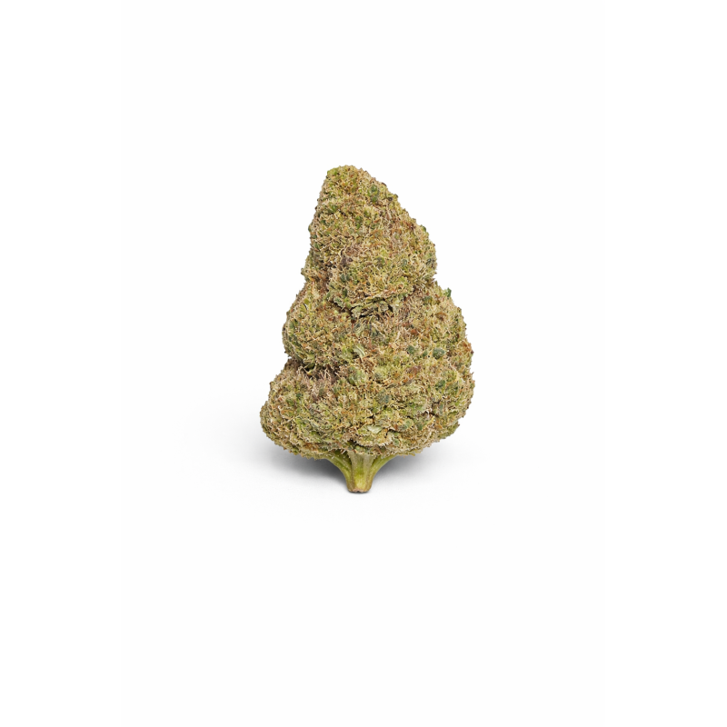 SHERBLATO - MOLECULES BZ HYDROPONIE