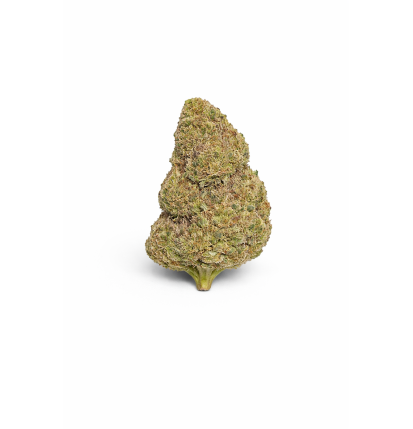 SHERBLATO - MOLECULES BZ HYDROPONIE
