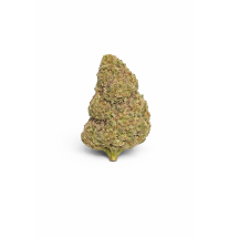 SHERBLATO - MOLECULES BZ HYDROPONIE
