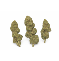 SHERBLATO - MOLECULES BZ HYDROPONIE