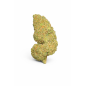 WATERMELON - MOLECULES BZ HYDROPONIE