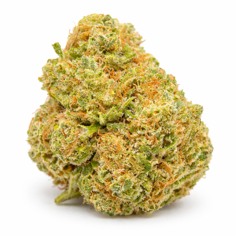 AMNESIA THUNDER - INDOOR AMNESIA THUNDER - INDOOR