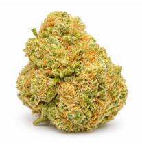 AMNESIA THUNDER - INDOOR