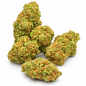 AMNESIA THUNDER - INDOOR AMNESIA THUNDER - INDOOR