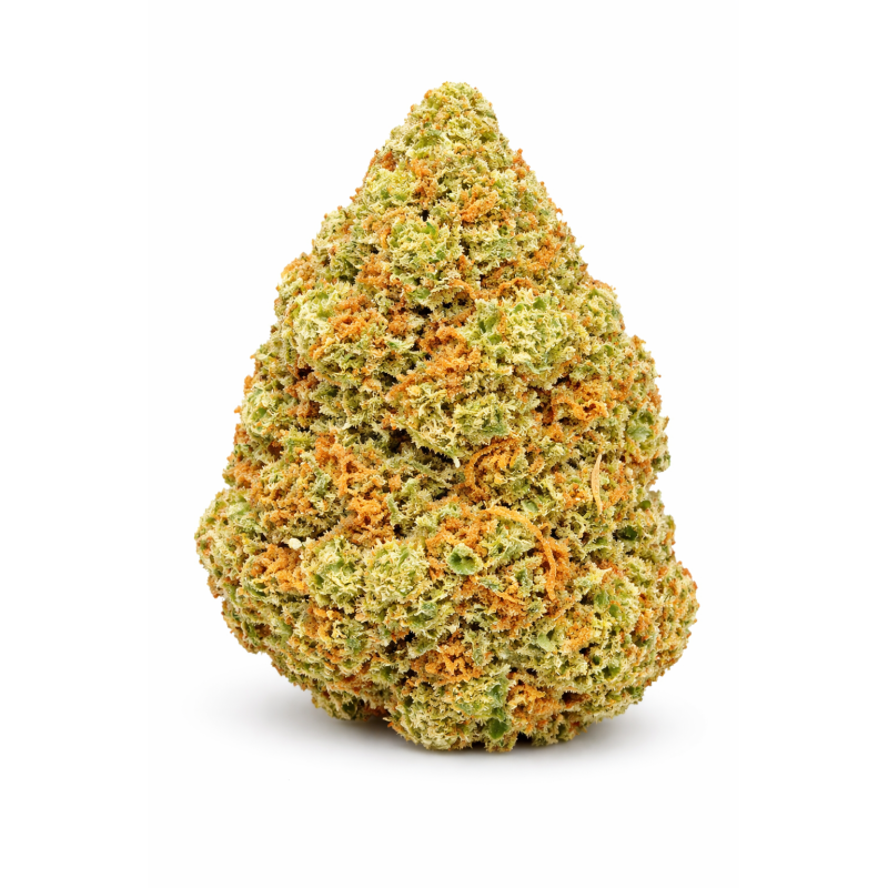 ORANGE BUD - GLASSHOUSE