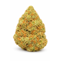 ORANGE BUD - GLASSHOUSE