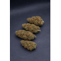 ORANGE BUD - GLASSHOUSE