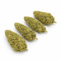 BUBBLEGUM - INDOOR BUBBLEGUM - INDOOR
