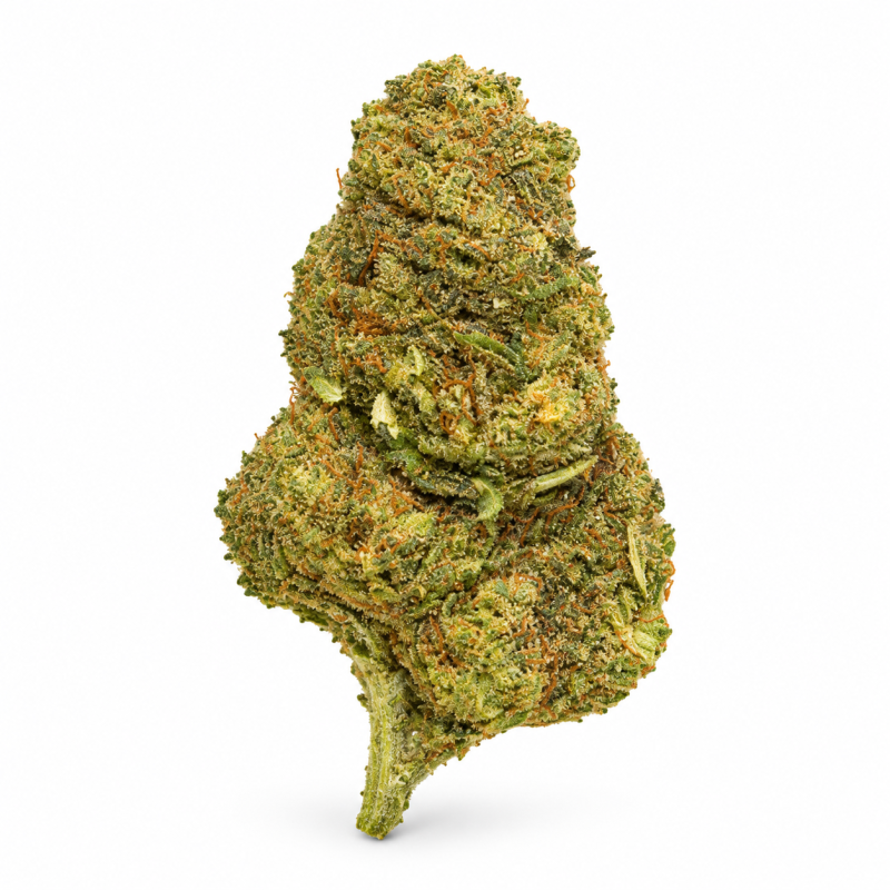 GUSH MINTS - MOLECULES BZ HYDROPONIE