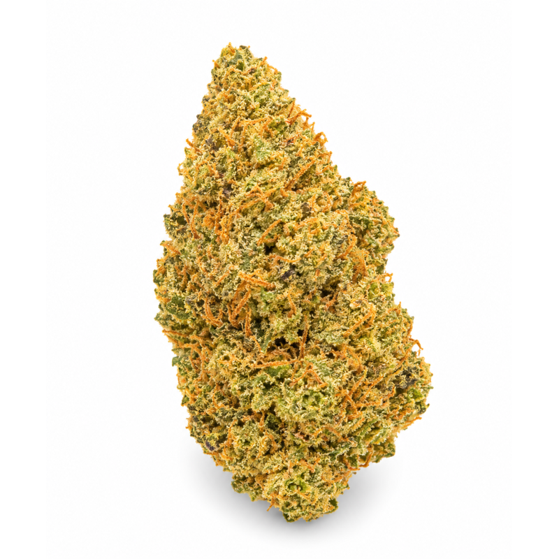 GARY PAYTON - MOLECULES BZ HYDROPONIE