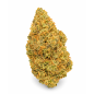 GARY PAYTON - MOLECULES BZ HYDROPONIE