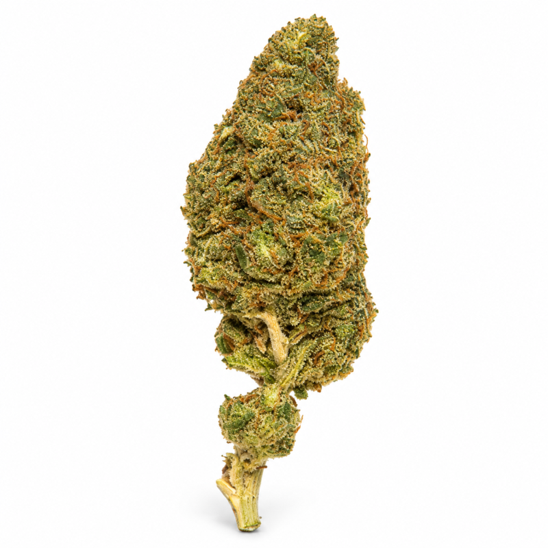 LONDON POUND CAKE - MOLECULES BZ HYDROPONIE
