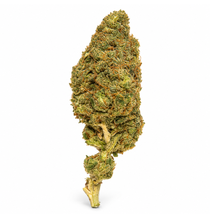 LONDON POUND CAKE - MOLECULES BZ HYDROPONIE